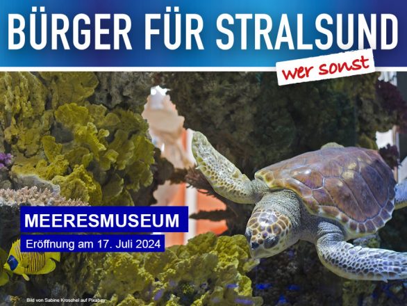 Stralsunder Meeresmuseum eröffnet am 17. Juli